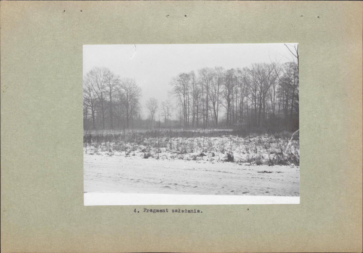 Ewidencja parkowa, skan nr 17