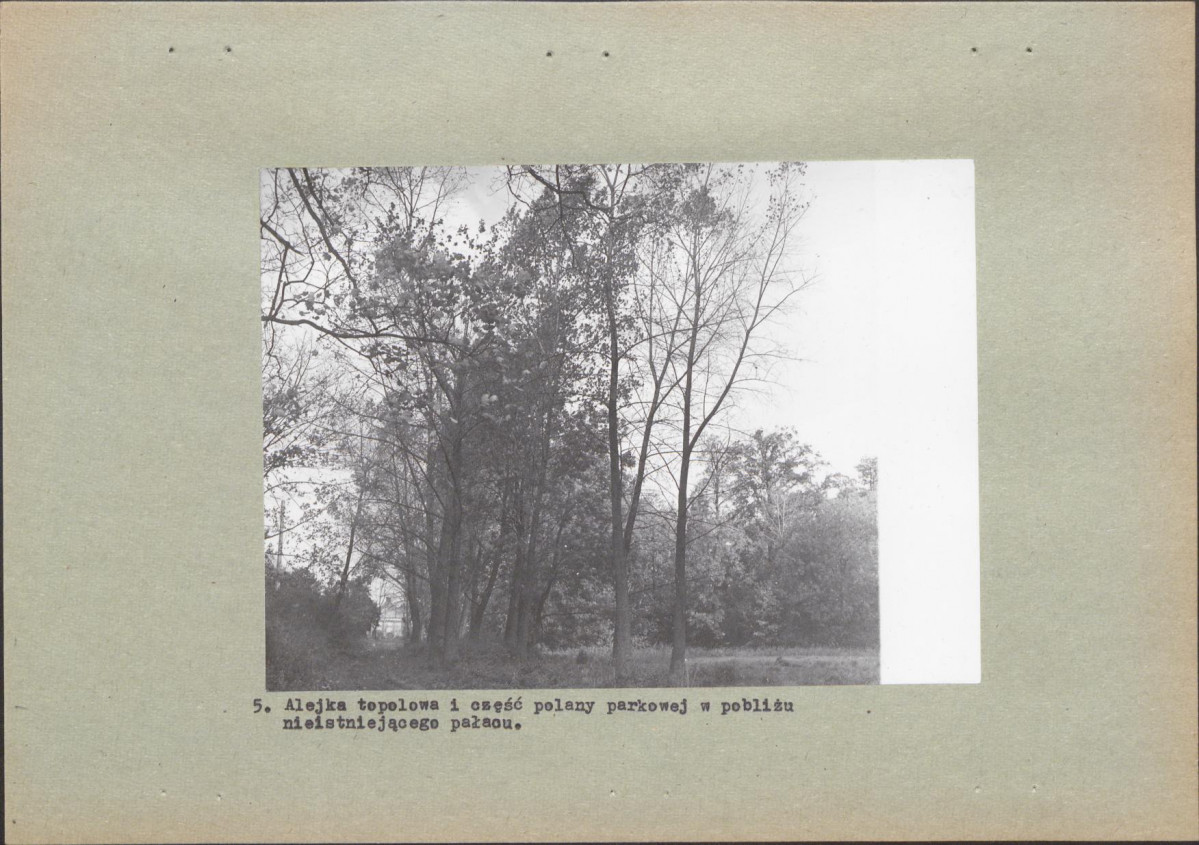 Ewidencja parkowa, skan nr 21