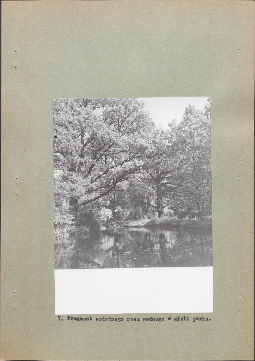 Ewidencja parkowa, skan nr 23