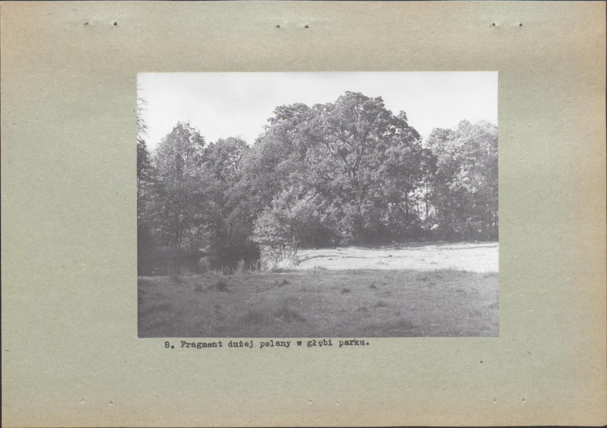 Ewidencja parkowa, skan nr 24