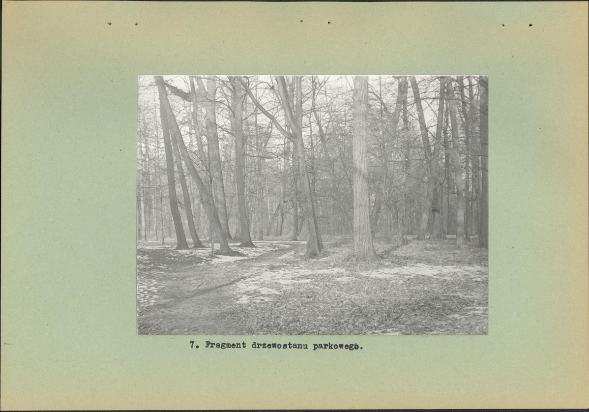 Ewidencja parkowa, skan nr 23