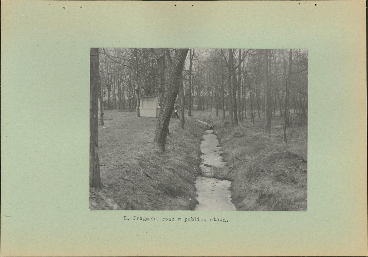 Ewidencja parkowa, skan nr 19