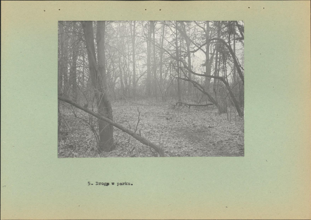 Ewidencja parkowa, skan nr 20