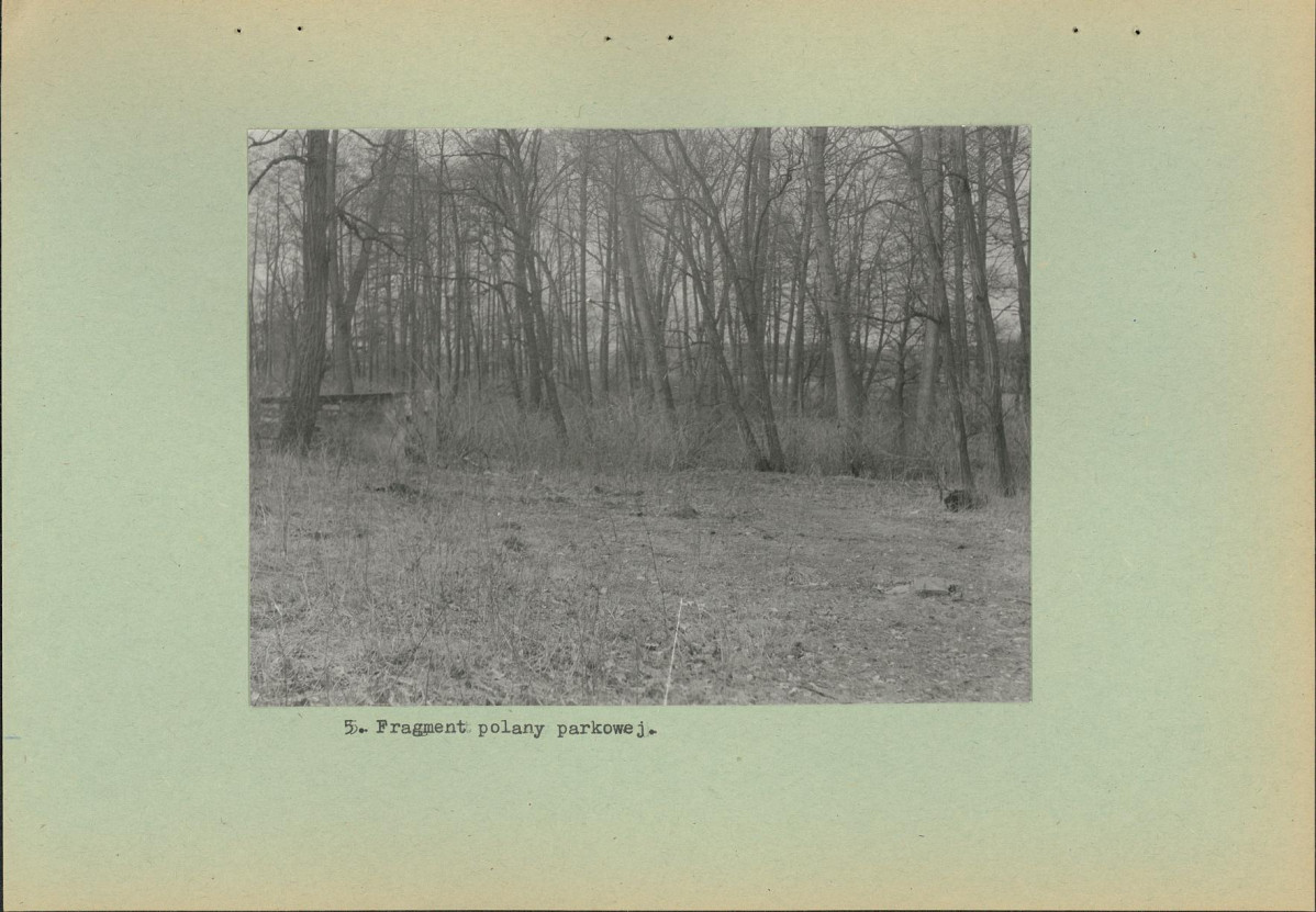 Ewidencja parkowa, skan nr 18