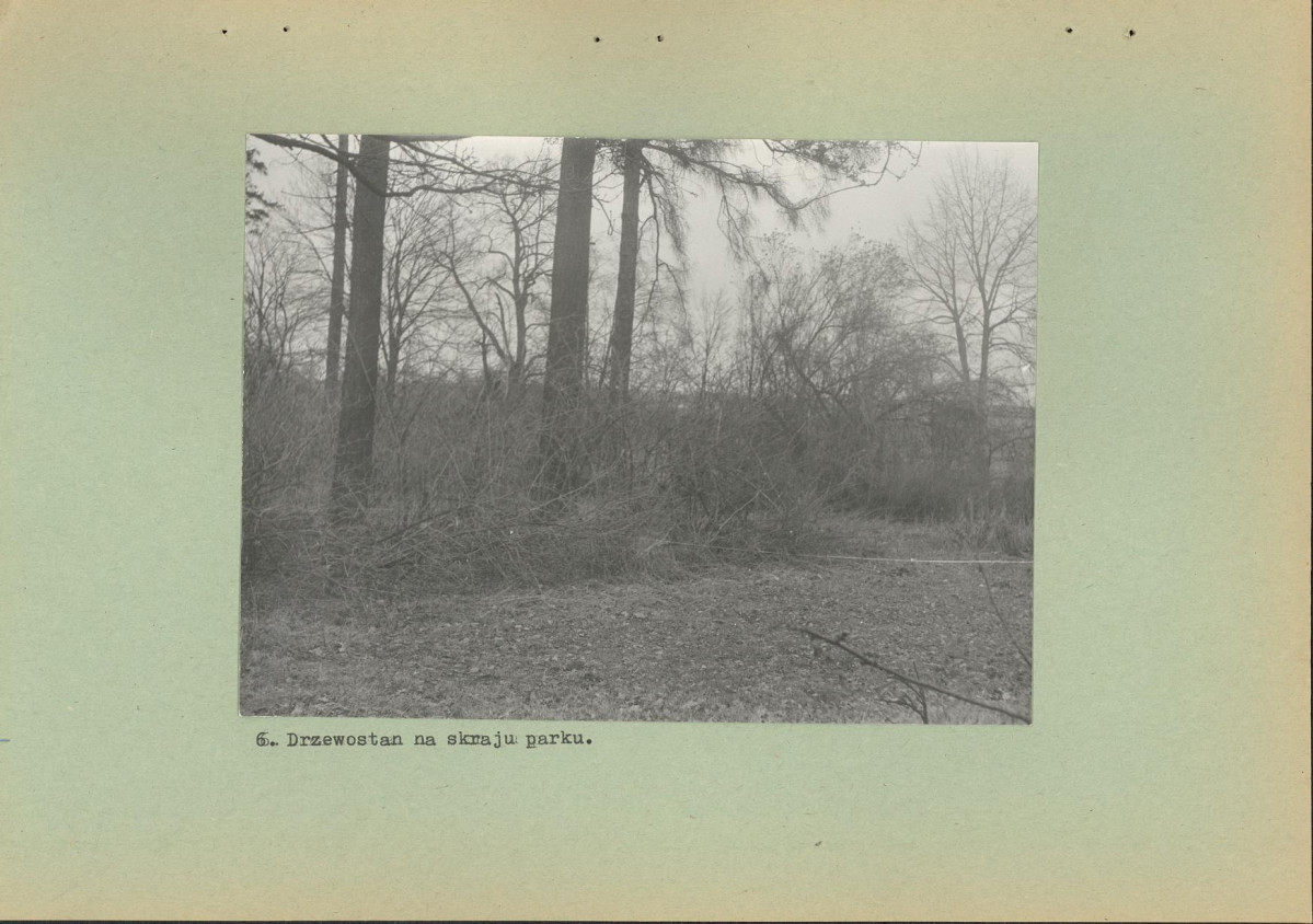 Ewidencja parkowa, skan nr 19