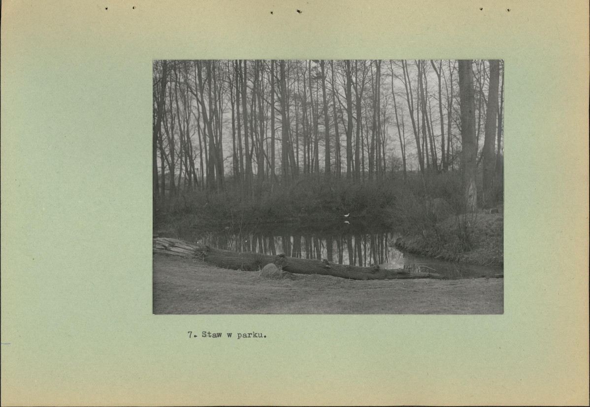 Ewidencja parkowa, skan nr 20