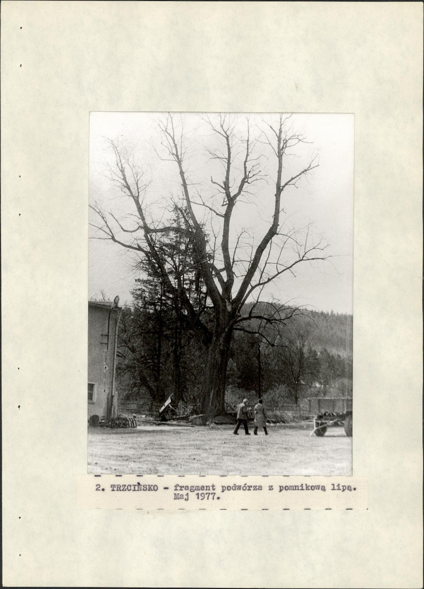 Ewidencja parkowa, skan nr 18