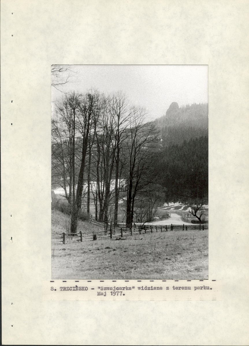 Ewidencja parkowa, skan nr 24