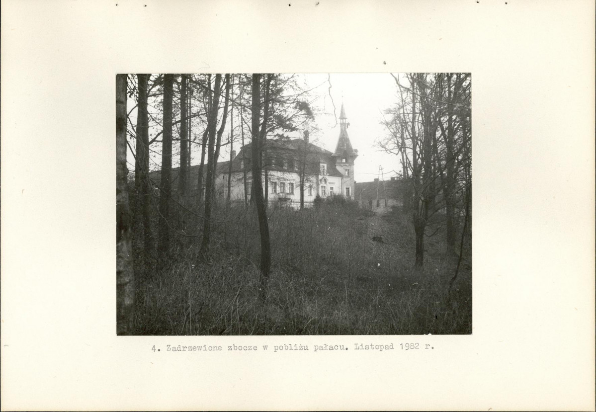 EP - Ewidencja parkowa, skan nr 15