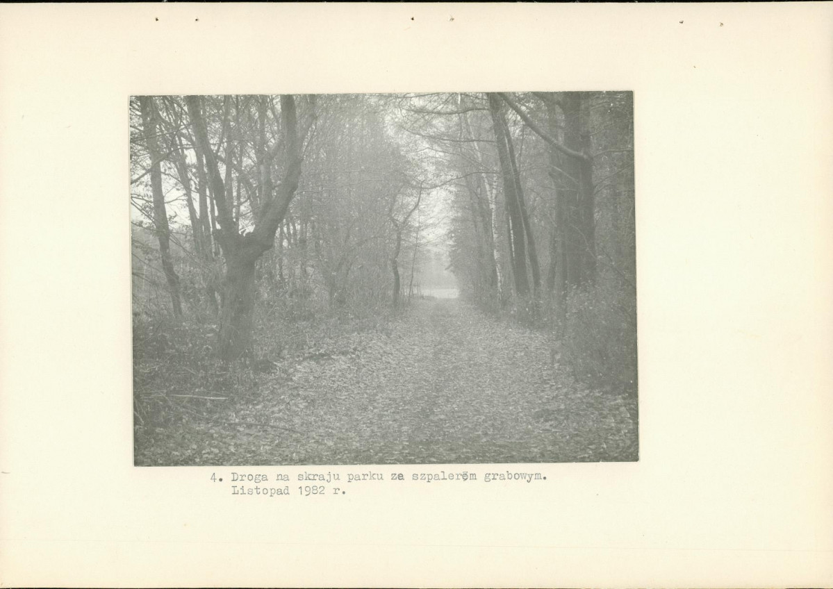 Ewidencja parkowa, skan nr 15