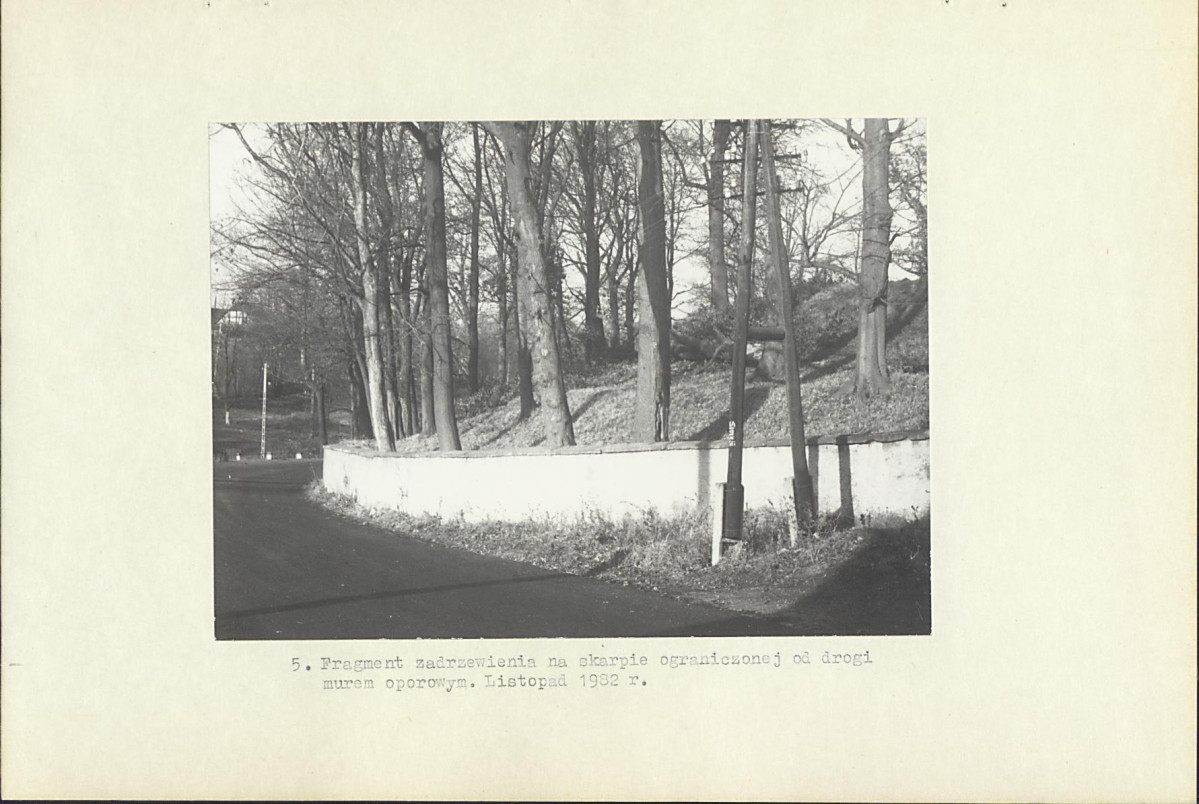 Ewidencja parkowa, skan nr 16