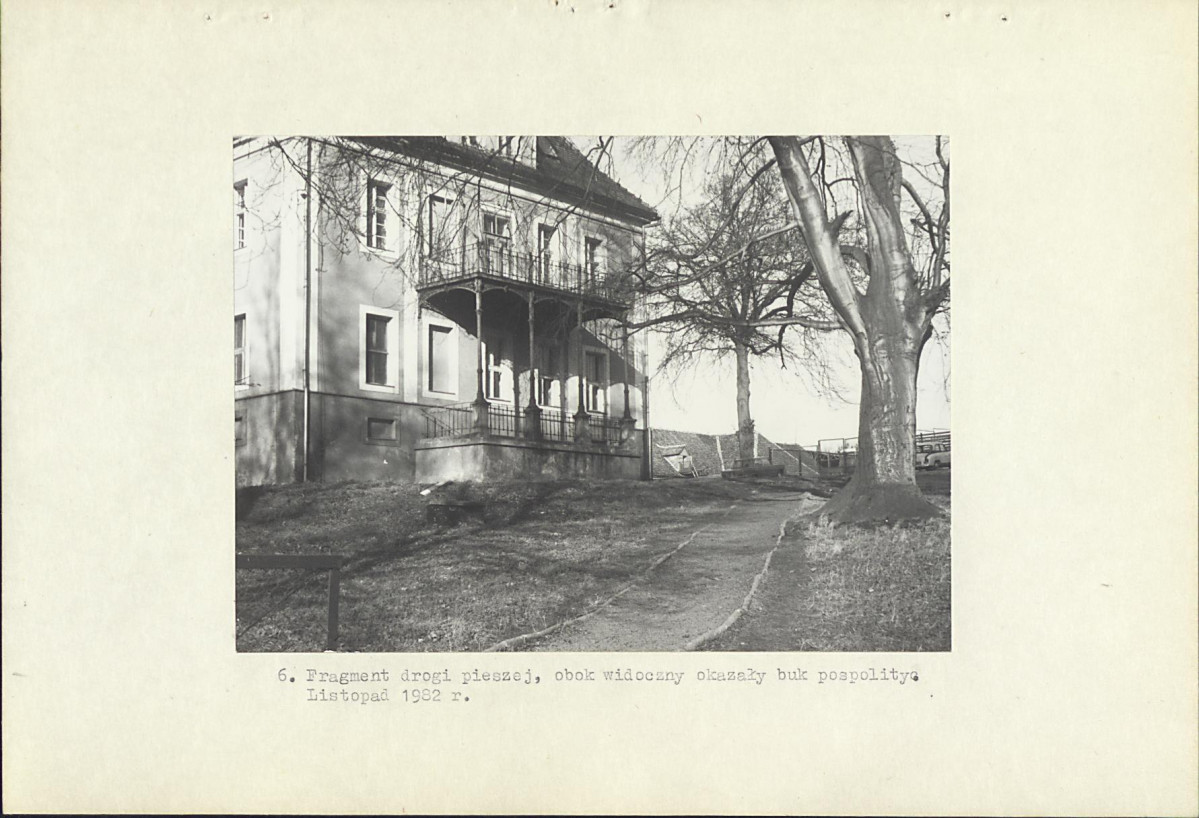 Ewidencja parkowa, skan nr 17