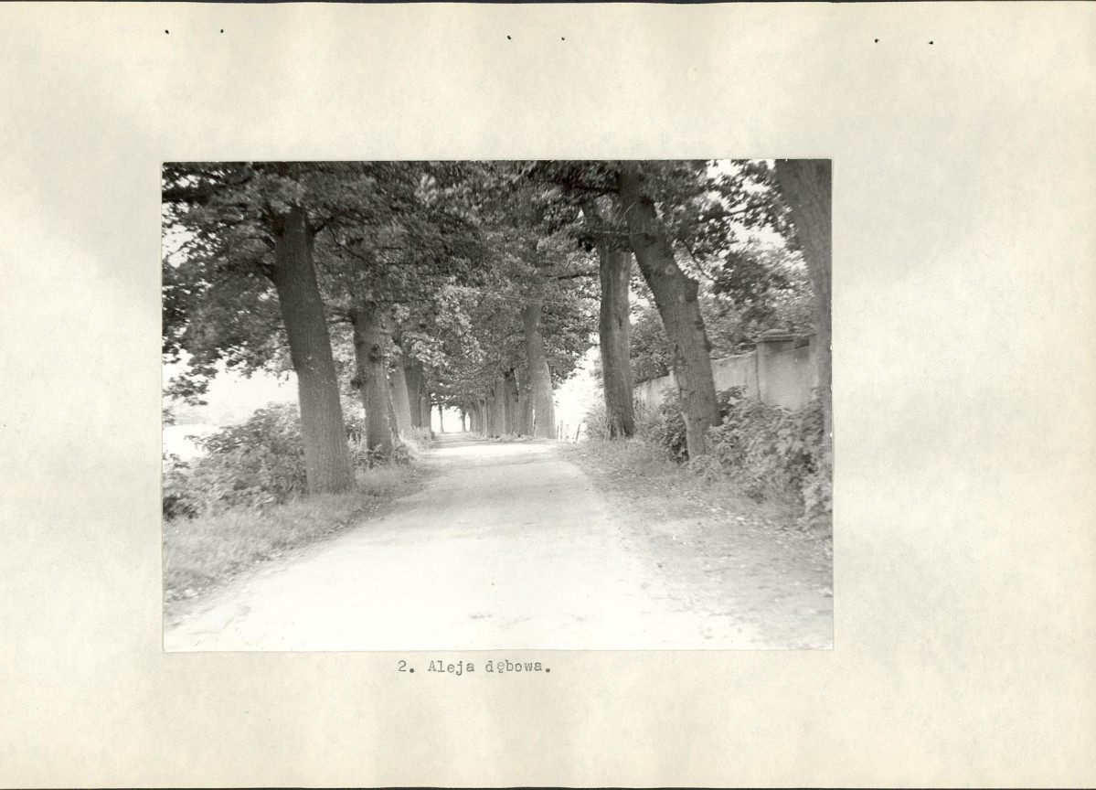 EP - Ewidencja parkowa, skan nr 14