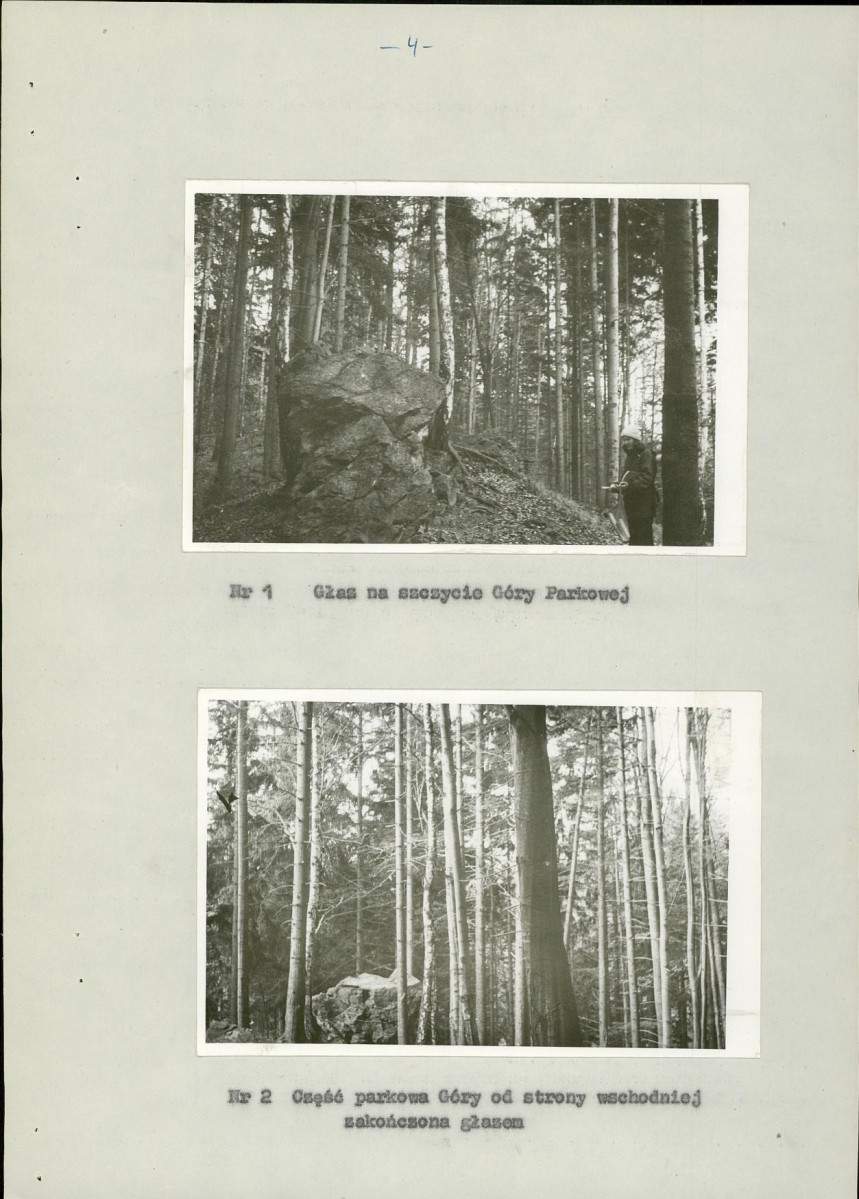 Ewidencja parkowa, skan nr 9