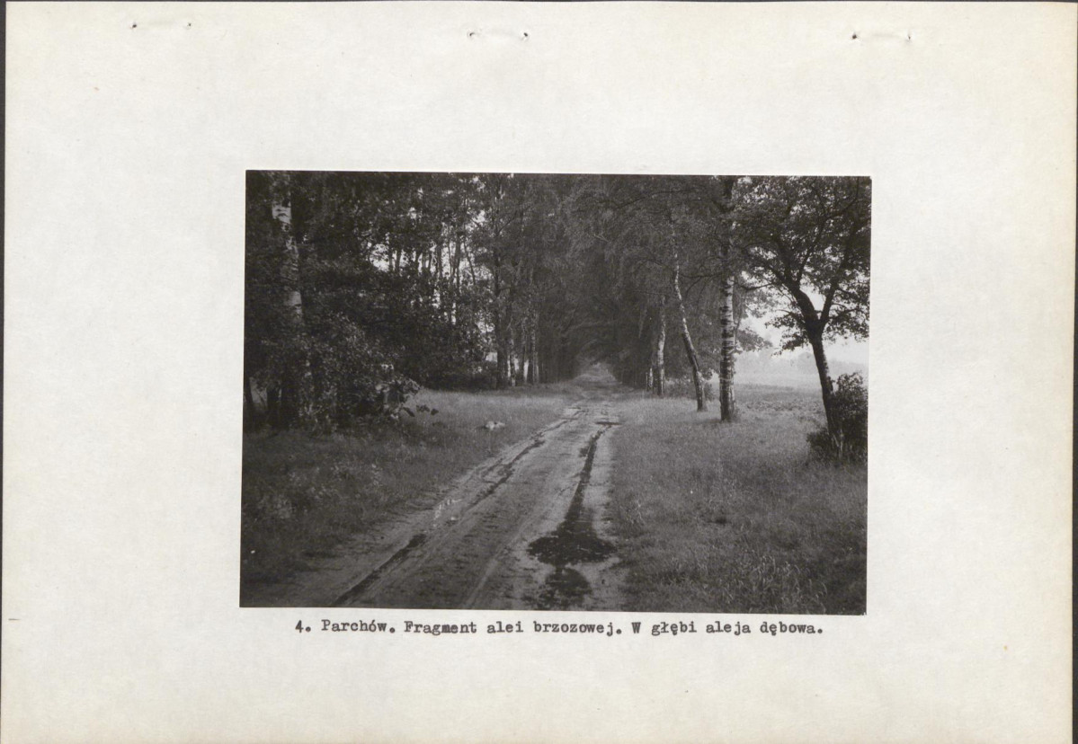 Ewidencja parkowa, skan nr 13