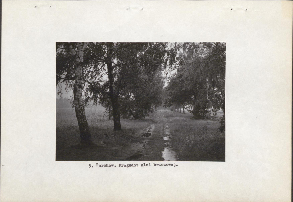 Ewidencja parkowa, skan nr 14