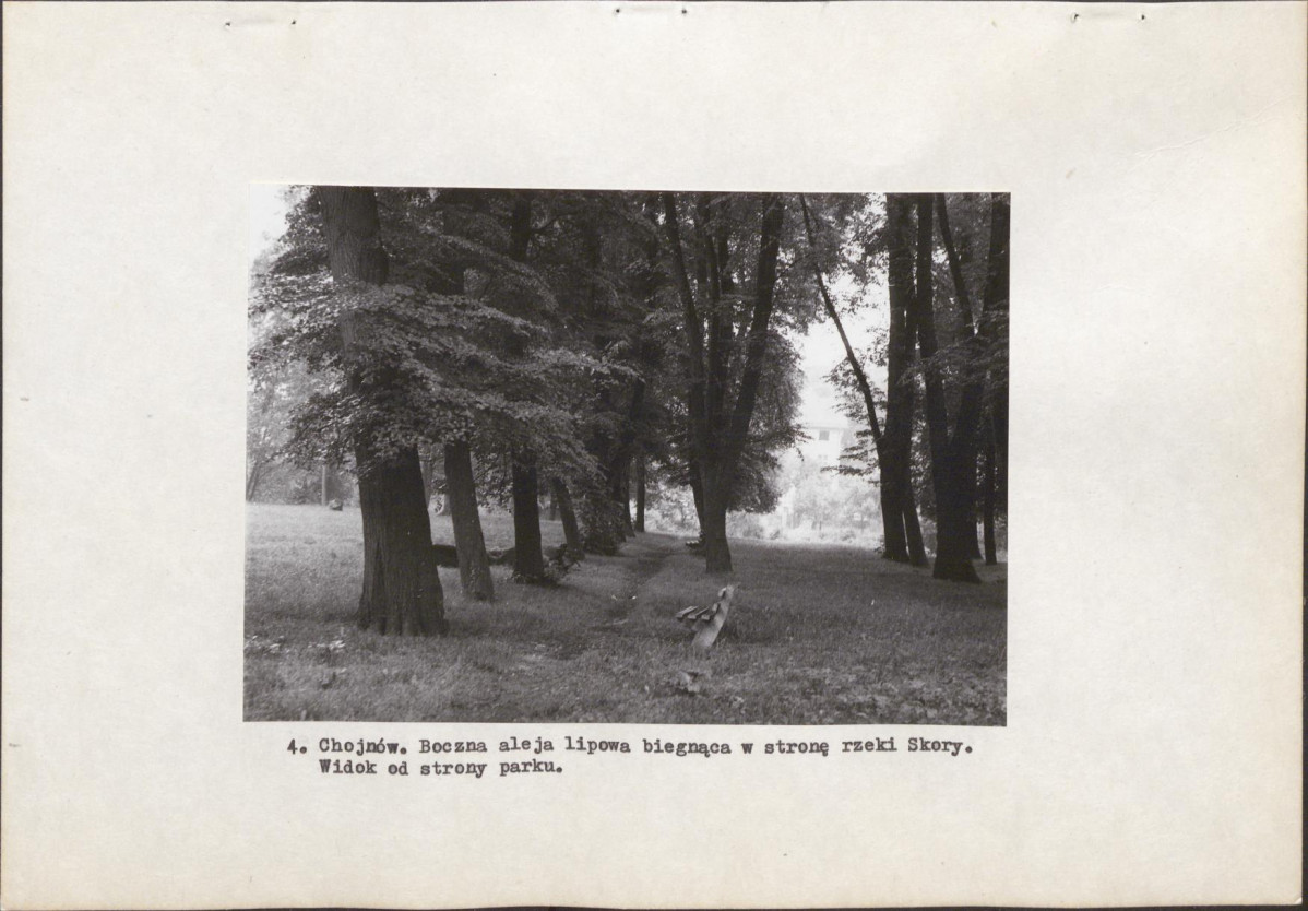 Ewidencja parkowa, skan nr 13