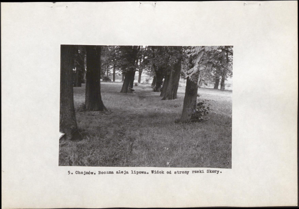 Ewidencja parkowa, skan nr 14