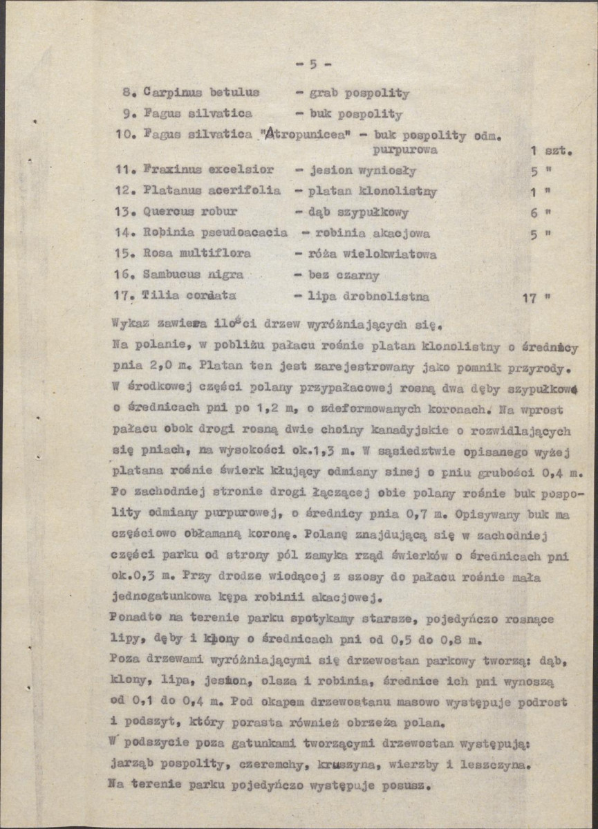 Ewidencja parkowa, skan nr 11