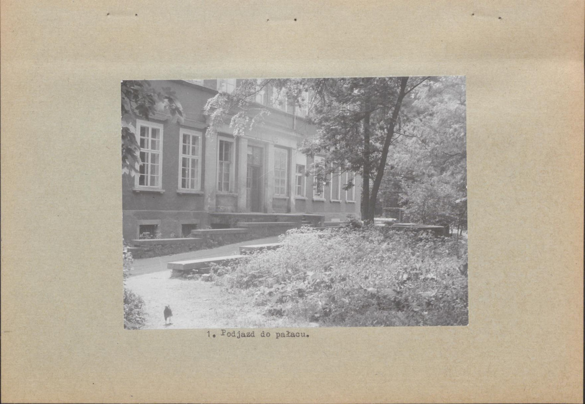 Ewidencja parkowa, skan nr 14