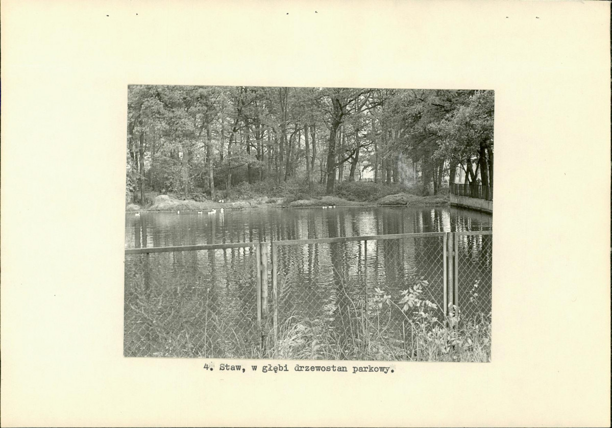 Ewidencja parkowa, skan nr 17