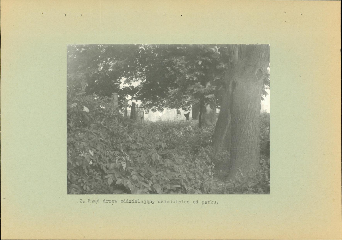 Ewidencja parkowa, skan nr 13