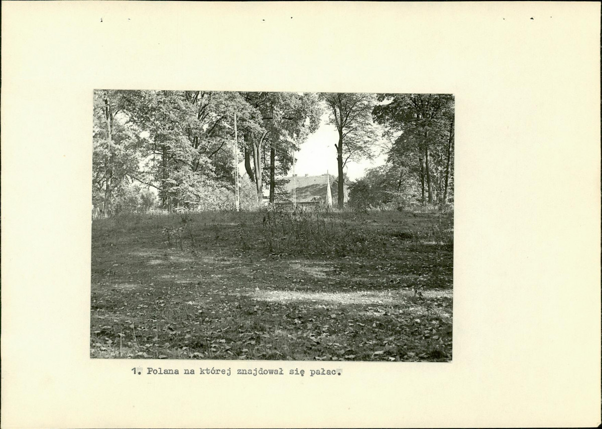 Ewidencja parkowa, skan nr 16