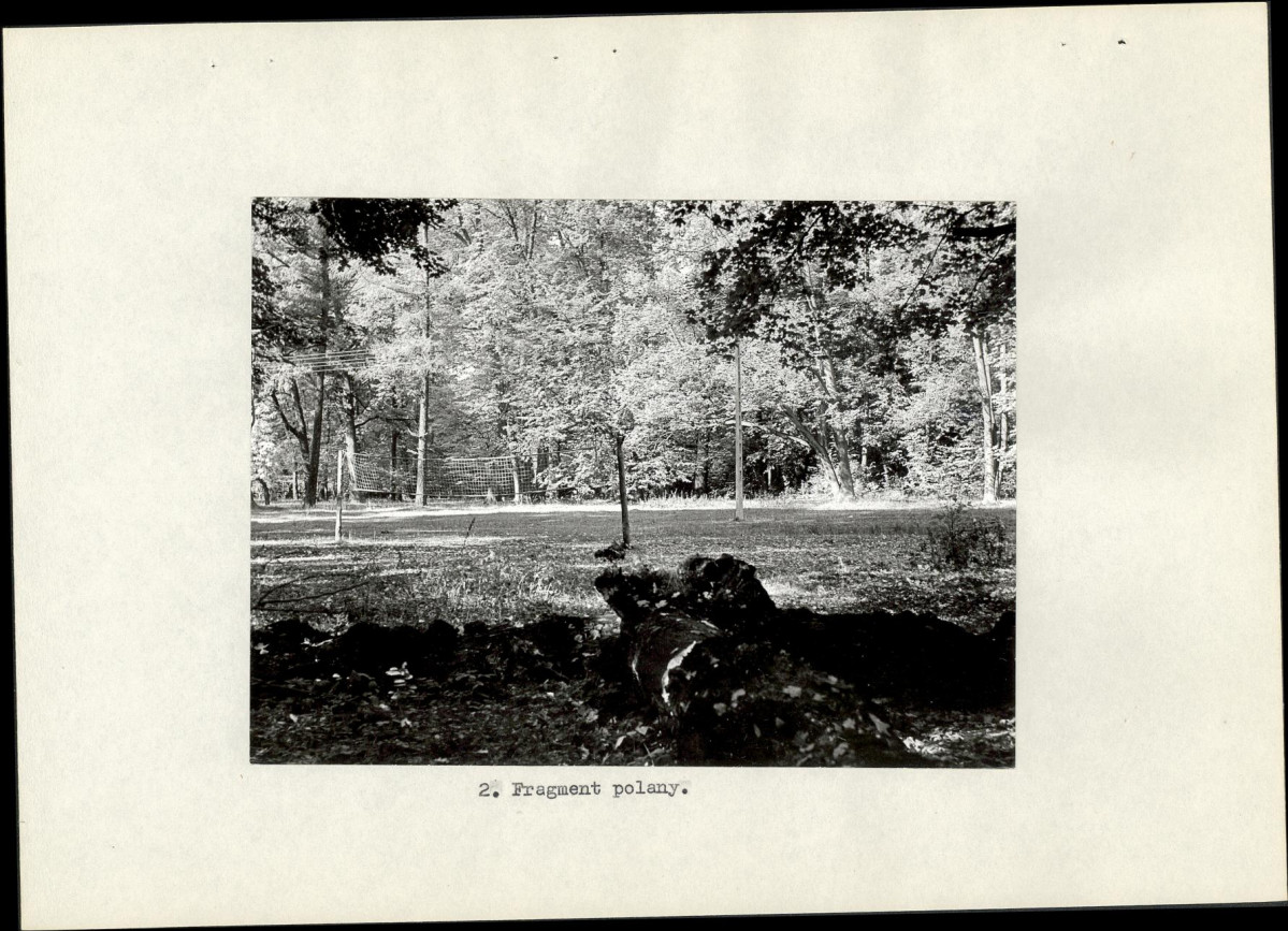 Ewidencja parkowa, skan nr 17