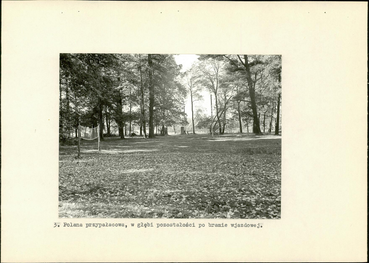 Ewidencja parkowa, skan nr 18