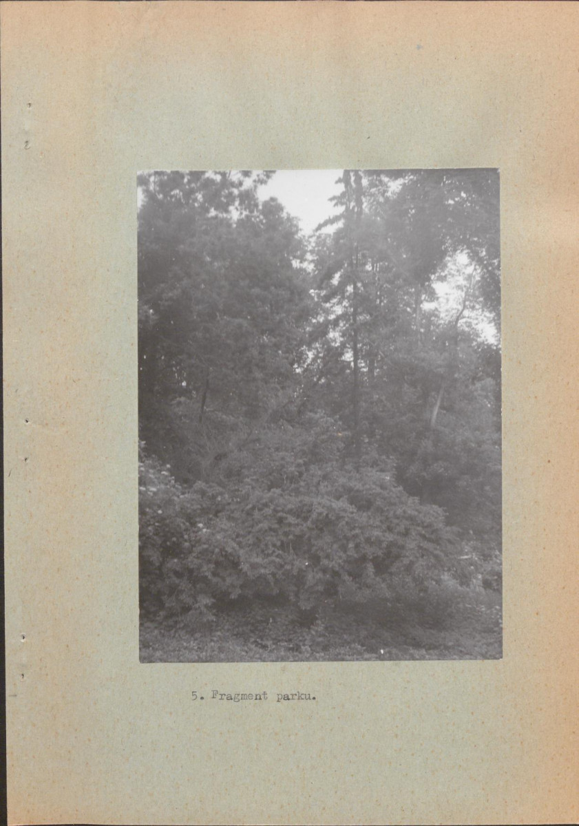 EP - Ewidencja parkowa, skan nr 16