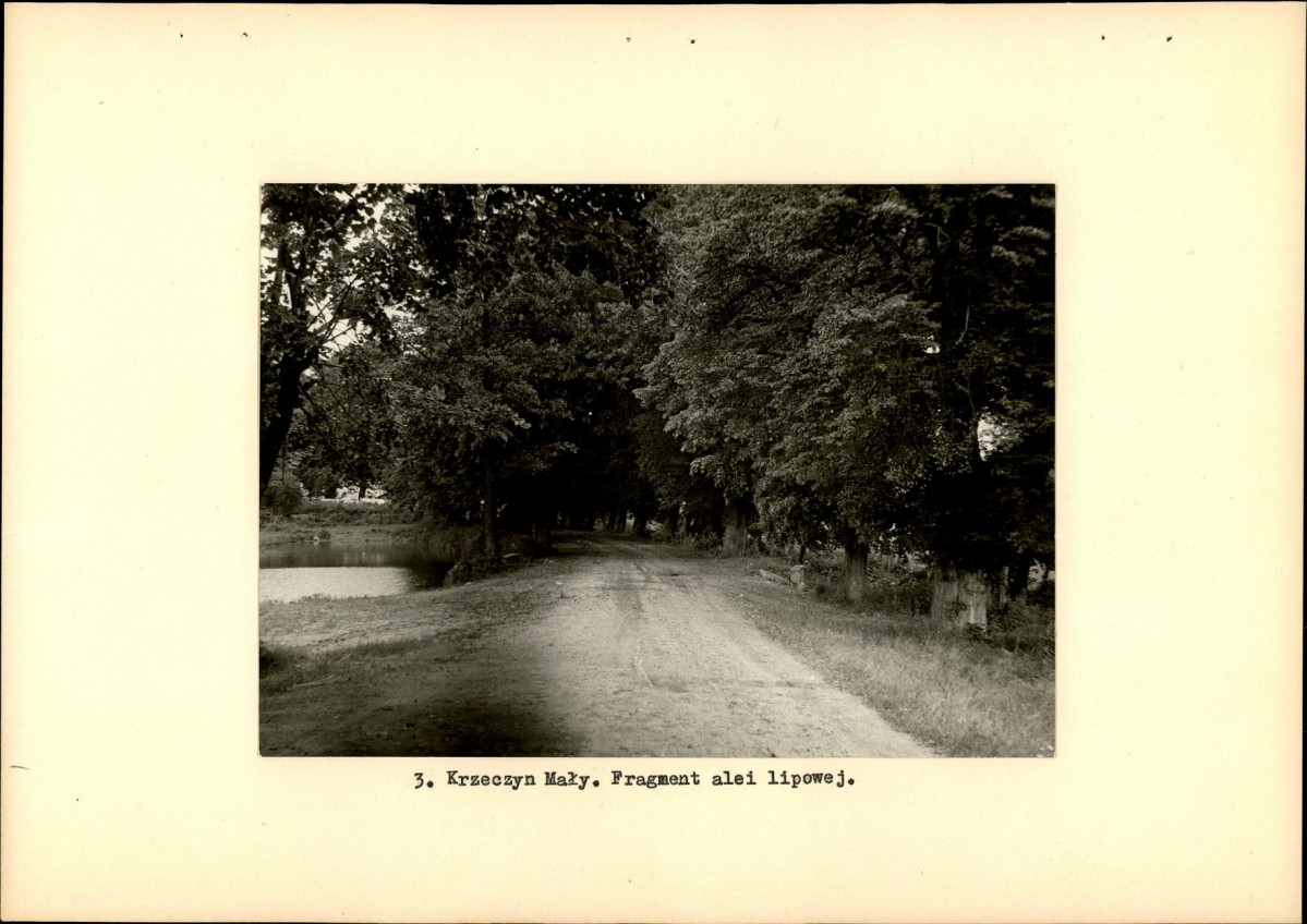Ewidencja parkowa, skan nr 12