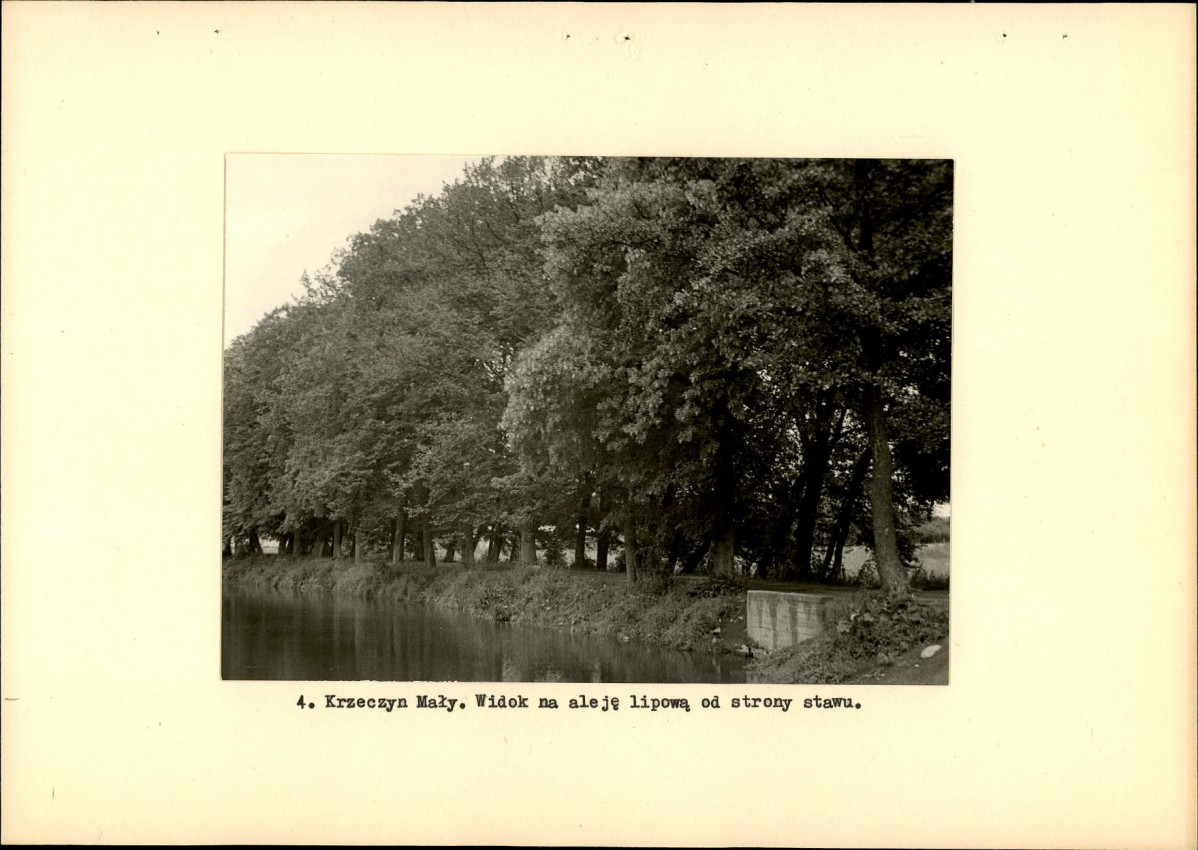 Ewidencja parkowa, skan nr 13