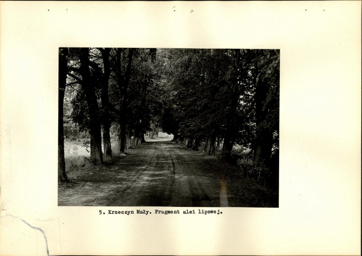 Ewidencja parkowa, skan nr 14