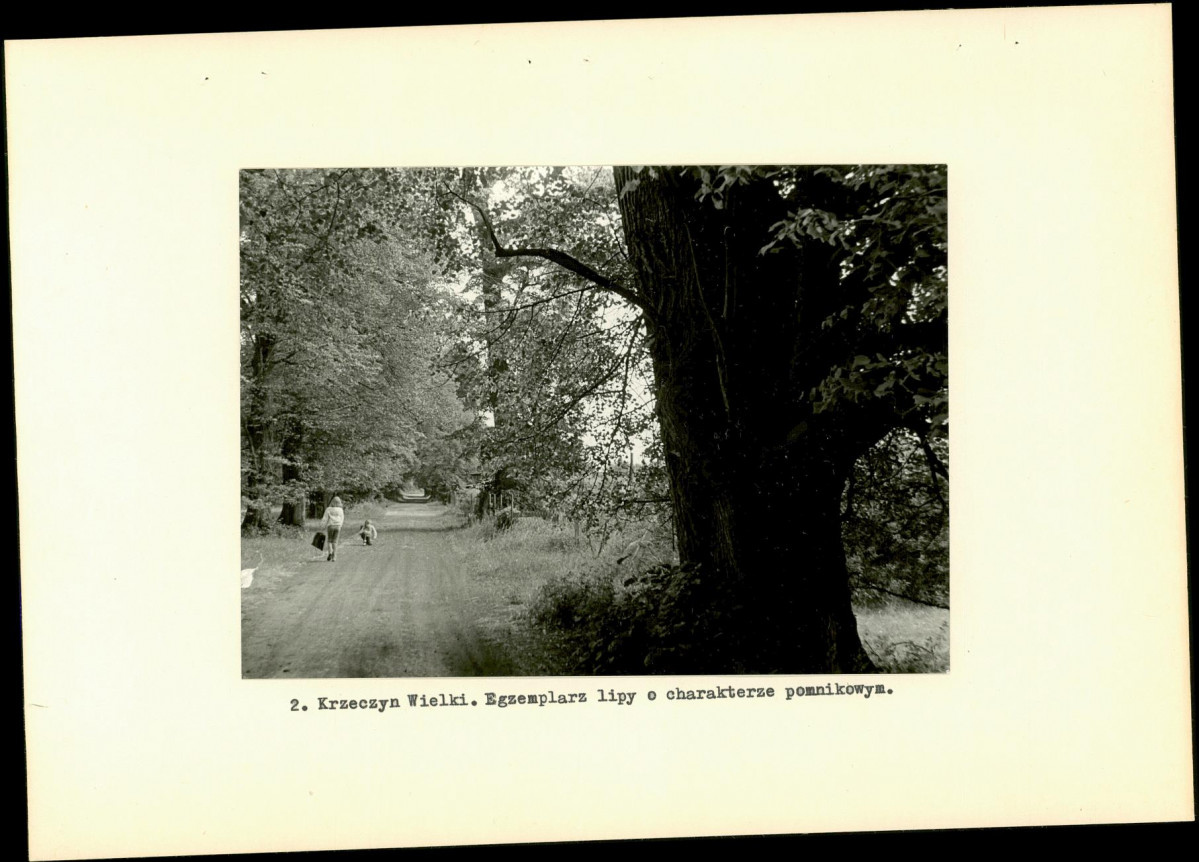 Ewidencja parkowa, skan nr 11