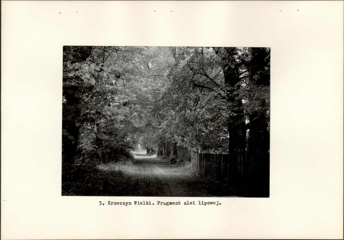Ewidencja parkowa, skan nr 12