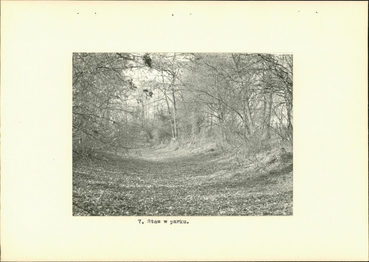 Ewidencja parkowa, skan nr 18