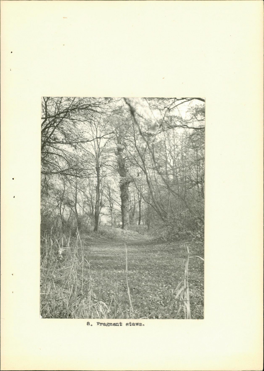 Ewidencja parkowa, skan nr 19