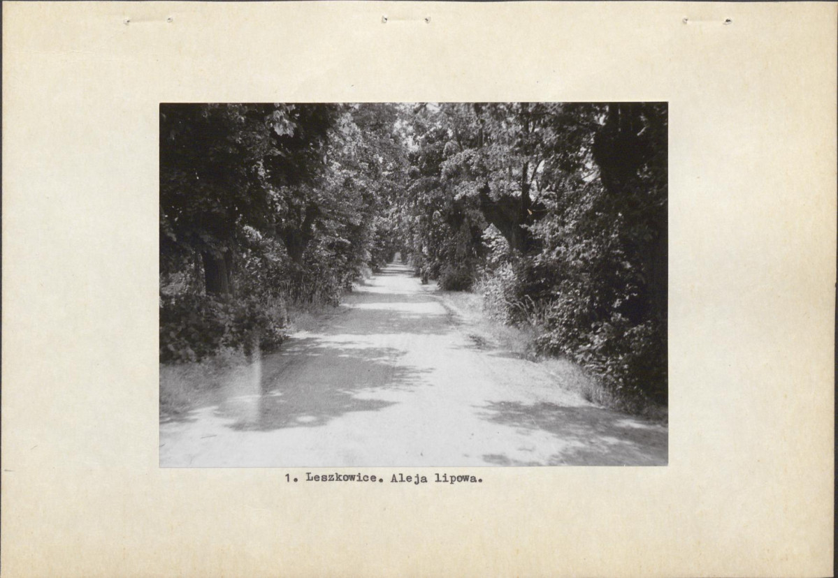 Ewidencja parkowa, skan nr 9