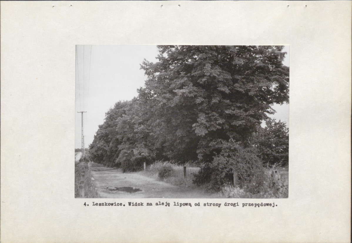 Ewidencja parkowa, skan nr 12