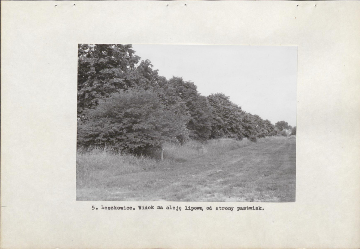 Ewidencja parkowa, skan nr 13