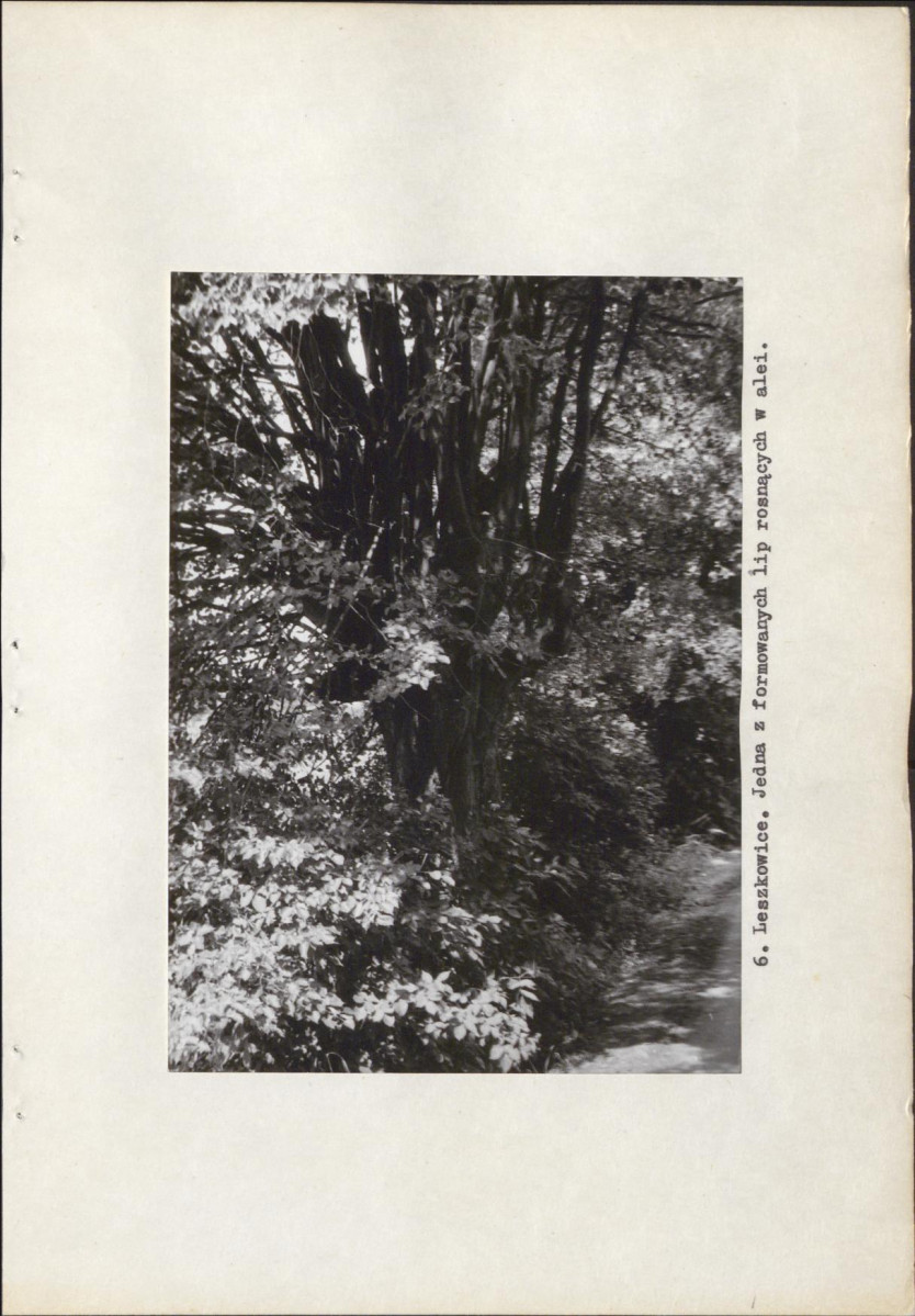 Ewidencja parkowa, skan nr 14