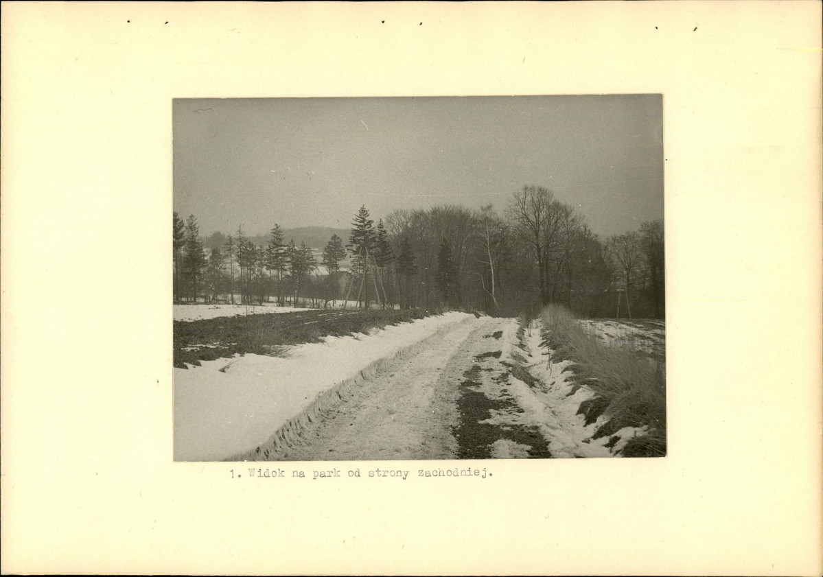 Ewidencja parkowa, skan nr 11