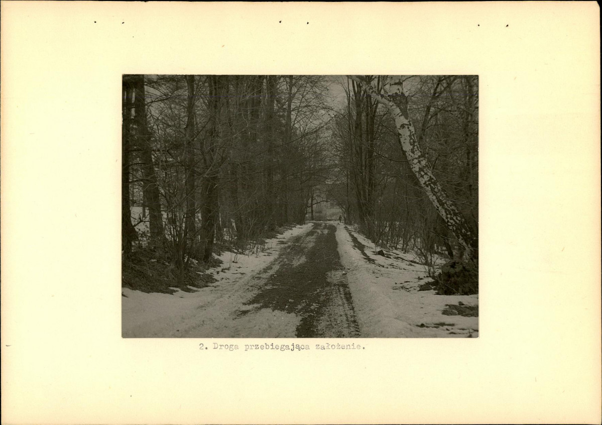 Ewidencja parkowa, skan nr 12