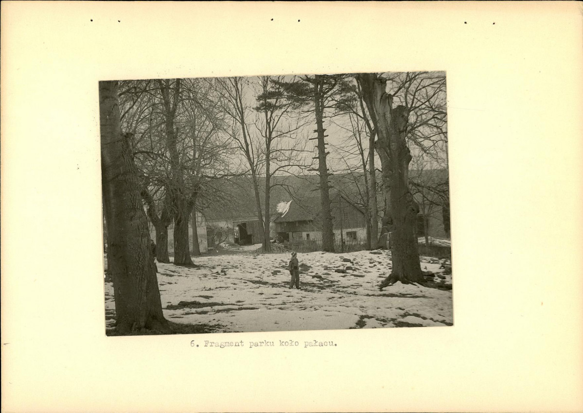 Ewidencja parkowa, skan nr 16