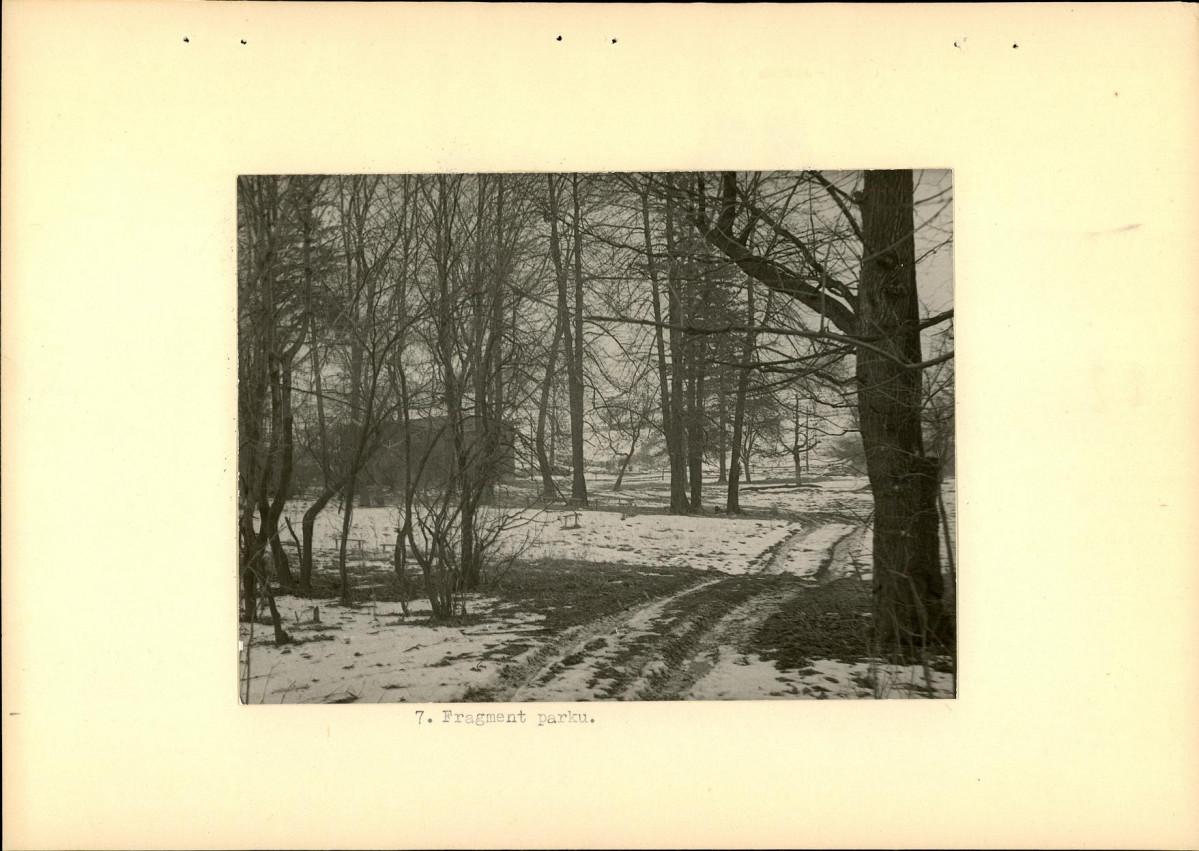 Ewidencja parkowa, skan nr 17