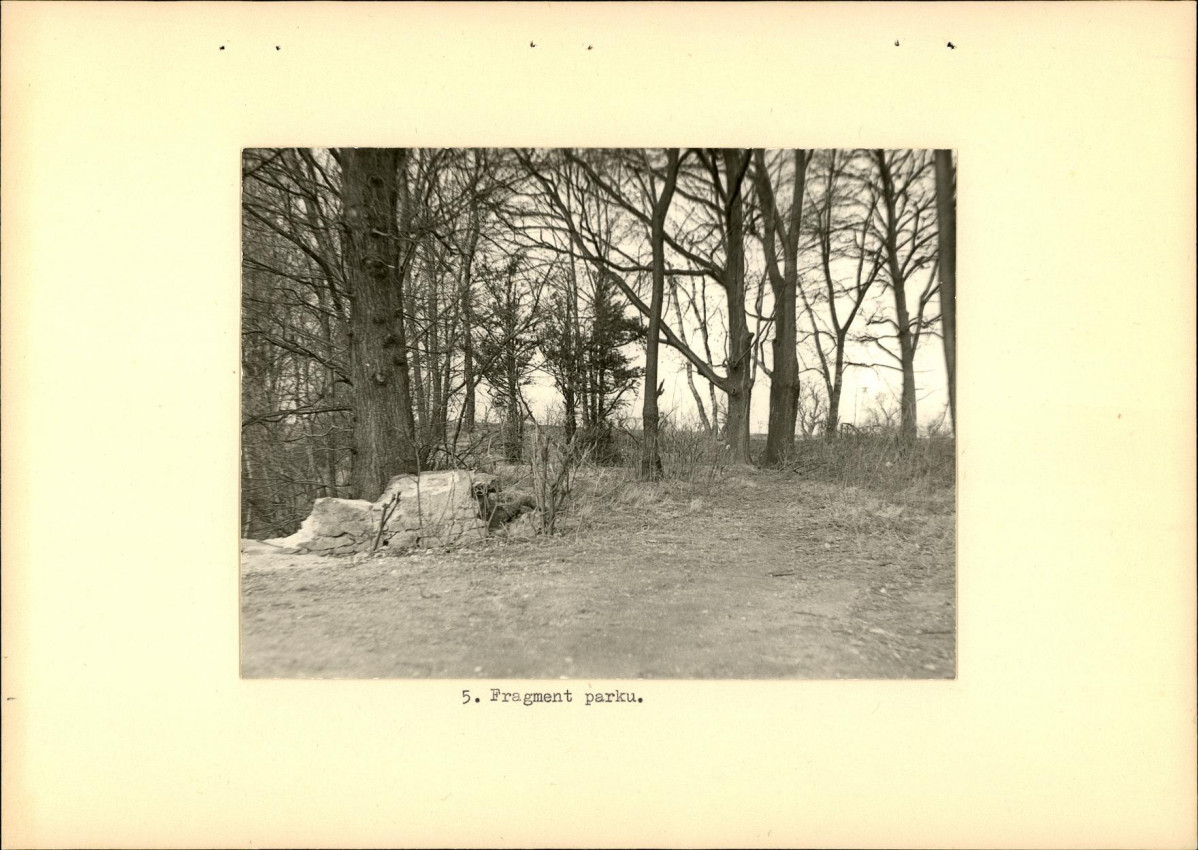 Ewidencja parkowa, skan nr 17