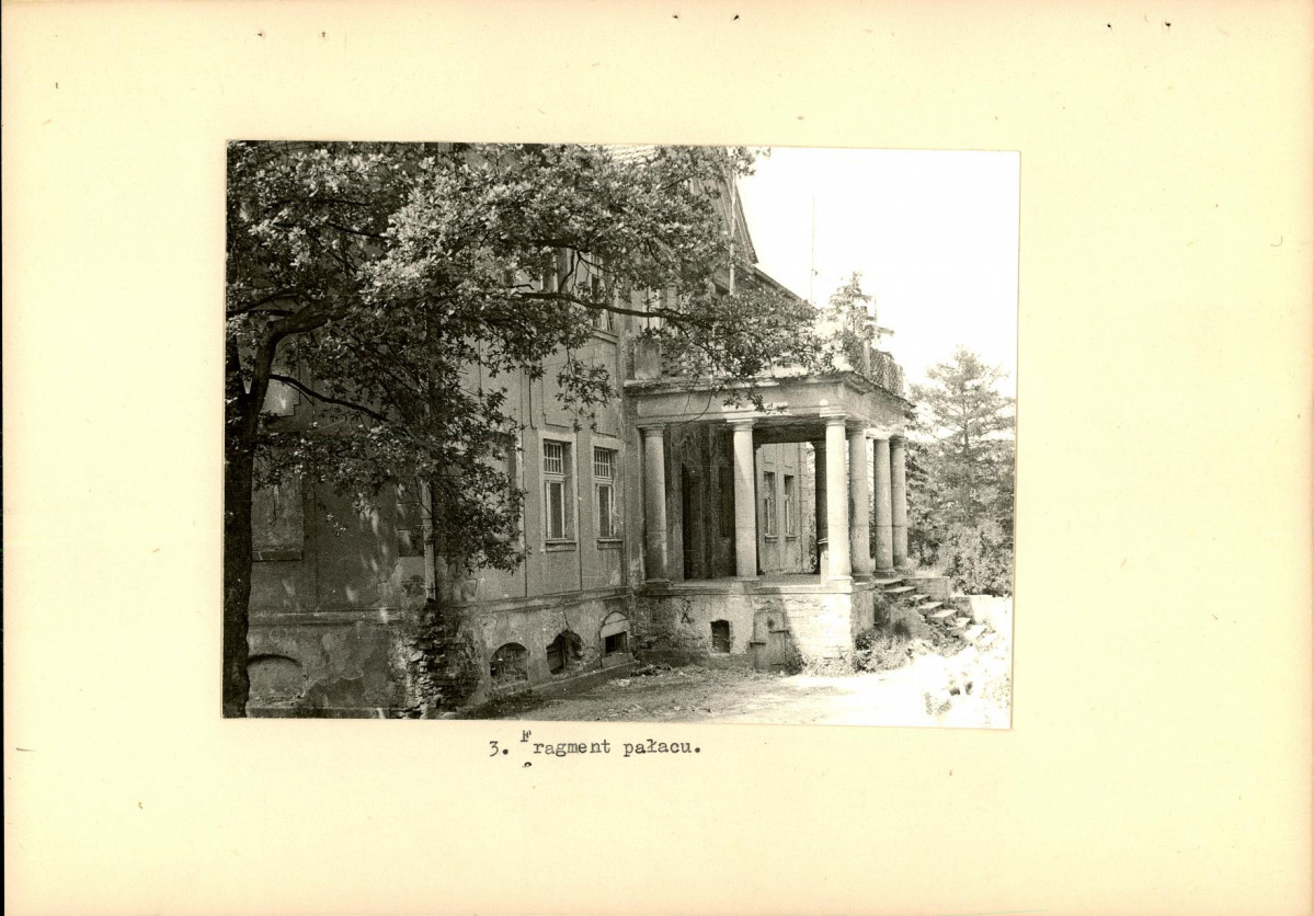 Ewidencja parkowa, skan nr 15