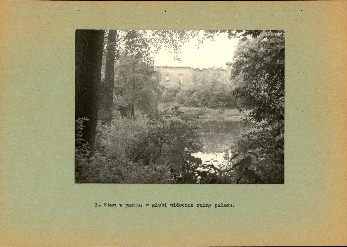 Ewidencja parkowa, skan nr 16