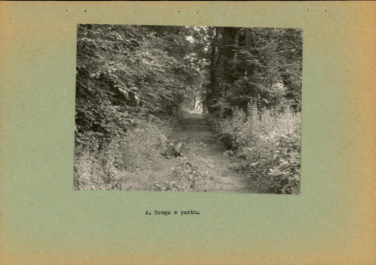 Ewidencja parkowa, skan nr 17
