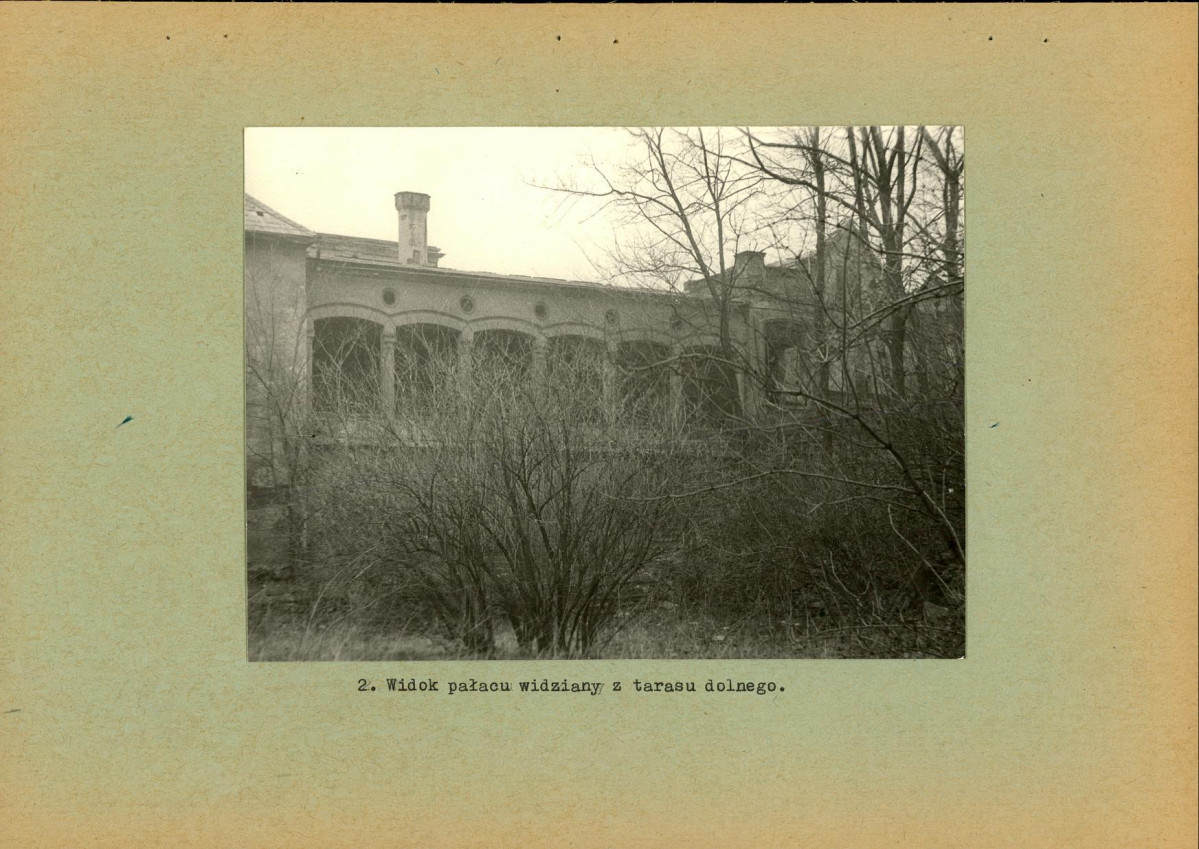 Ewidencja parkowa, skan nr 16